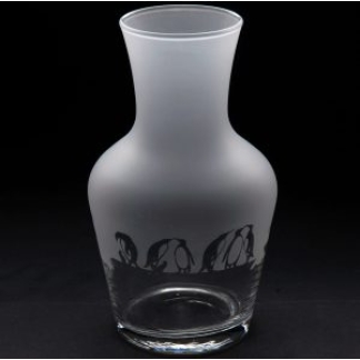 PENGUIN C50 CARAFE 500ML
