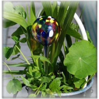 LARGE HYDRO GLOBE (9CM) MULTICOLOUR