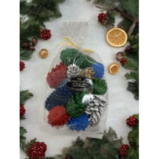 COLOURED PINE CONES -  CASE OF 24