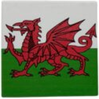10x10 WELSH DRAGON COASTER