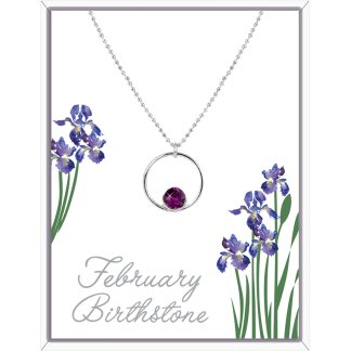 February Circle Pendant Necklace (AC102)