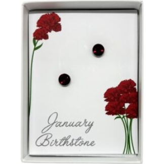 January Birthstone Stud Earrings (B1320)