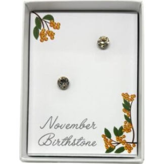 November Birthstone Stud Earrings (B1330)