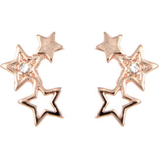 Stars Rose Gold Little Box Earrings (L1009)