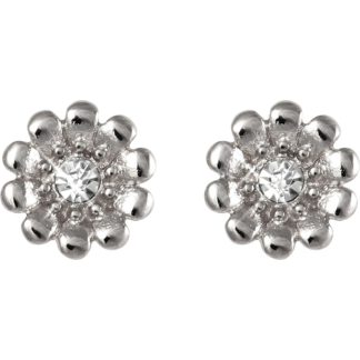 Daisy Rhodium Little Box Earrings (L1012)